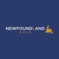 Newfoundland Gold logo - Similar company to Cluff Minerals