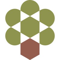 Olive Tree Capital