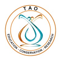 Terevaka logo - Similar company to Tawa Refugio Del Puelo