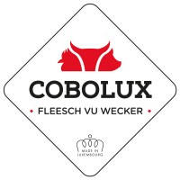 Cobolux S.A. logo - Similar company to Exemptec Group