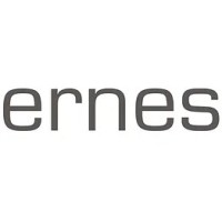 Ernes Den Bosch logo - Similar company to Thuisin Ernis