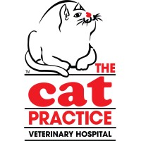 The cat practice
