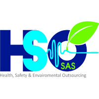 Health Safety Environment Outsourcing SAS (HSO SAS) logo - Similar company to Istcables