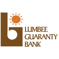 Lumbee Guaranty Bank logo - Similar company to Little River Systems