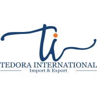 TEDORA INTERNATIONAL logo - Similar company to Tramedist