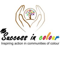 Success In Colour logo - Similar company to Liquidgold Africa Pty