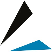 AAM logo - Similar company to Hoche Audit