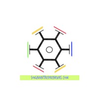 SOIGNANTREPRENEURS.com logo - Similar company to Medae