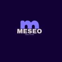 Team Meseo logo - Similar company to Nosce Techno Solutions