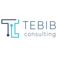 TEBIB Consulting logo - Similar company to Cvcelec