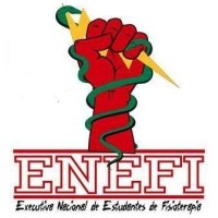 Executiva Nacional de Estudantes de Fisioterapia - ENEFI logo - Similar company to Cmeso