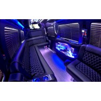 Serpentine Limo logo - Similar company to Estimaton Services Hub