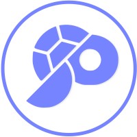 SoApp logo - Similar company to New Consulting - Information Systems, Lda.