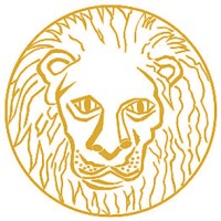 Draco Leo logo - Similar company to Lambda Measurement Solutions Ltd.