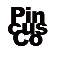 PincusCo Media LLC logo - Similar company to Voloco Construction Consulting