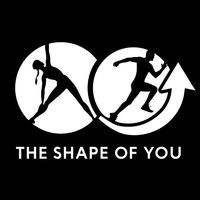 The Shape of You logo - Similar company to Next Step Ai