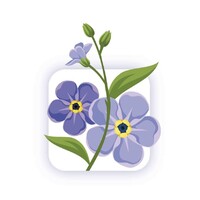 ForgetMeNot App logo - Similar company to Even Care Ltd