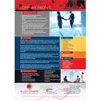 Oludoy Dynamix Consulting Limited logo - Similar company to Allied Empowerment®
