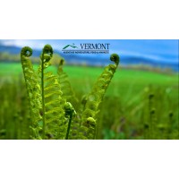 Vermont Agency of Agriculture, Food and Markets logo - Similar company to Northeast Dairy Business Innovation Center