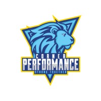 Corner Performance logo - Similar company to Netztitanen