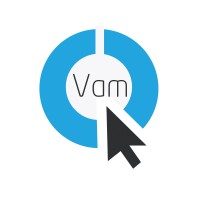 Vam Systems international logo - Similar company to Zaash It Consultancy