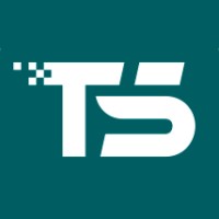 TS NoCode logo - Similar company to Ygdra