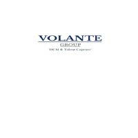 Volante Group logo - Similar company to Volonte Group