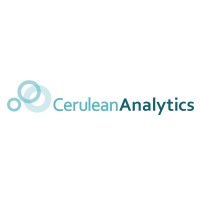 Cerulean Analytics