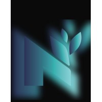 Netlarx Pvt ltd logo - Similar company to Verdant Info Comm Systems