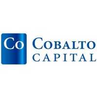 Cobalto Capital logo - Similar company to The Private Advisors