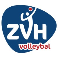 ZVH Volleybal logo - Similar company to Simplex Sss