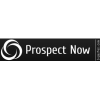 Prospect Now Brasil logo - Similar company to Pink Sua Venda