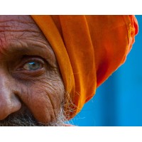 A Wanderer'S Eye