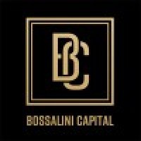 Bossalini Capital logo - Similar company to Pullsystem Tech
