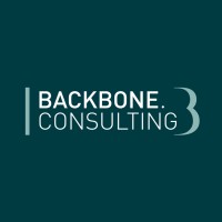 Backbone Consulting logo - Similar company to Visibrain