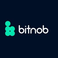 Bitnob logo - Similar company to Lazerpay