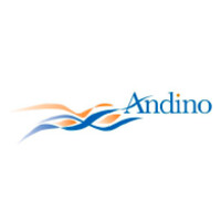 Andino Holdings USA LLC logo - Similar company to Andikem
