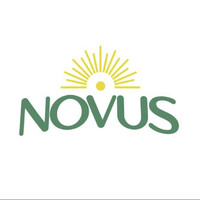 NOVUS Industries and Trading Ltd logo - Similar company to Jobtorob