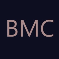 Brittany Maschal Consulting logo - Similar company to Hugo Mentors