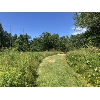 Town Of Weston