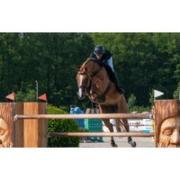 Taylor Kain Equestrian logo - Similar company to Celtyx Performance Protection