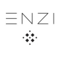 ENZI logo - Similar company to Daxtra