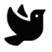 DOVE IT CONSULTING logo - Similar company to Intelliipro Technologies