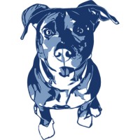 Blue Bully Recruiting LLC logo - Similar company to Profile Solutions Group