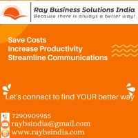 Ray Business Solutions India logo - Similar company to Ray Techno Solutions