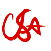 Chinese Students Association at WashU logo - Similar company to Ubcssa