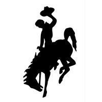 THE SALOONS logo - Similar company to Shum Agency