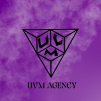 Ultra Vibrant Records LLC logo - Similar company to Evergreen Solar Clean