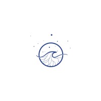 Momentum Solutions