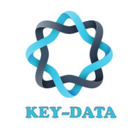 KeyData SpA logo - Similar company to Keydata